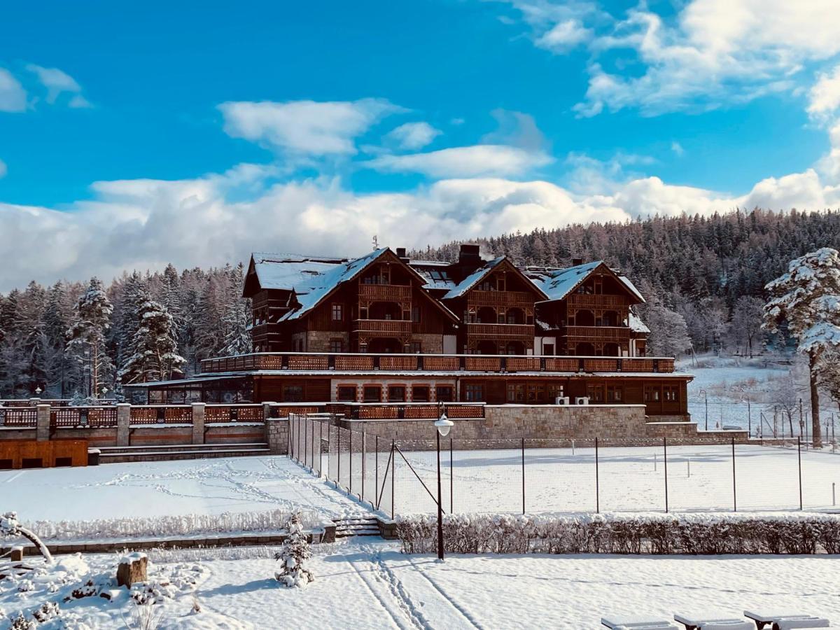 Hotel Seidorf Kolo Karpacza Sosnówka 외부 사진